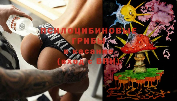 прущие грибы Абдулино
