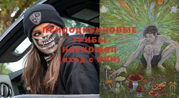 прущие грибы Абдулино