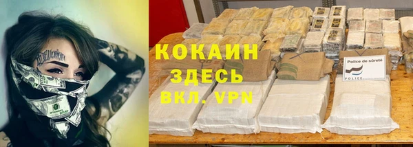 стаф Алексеевка