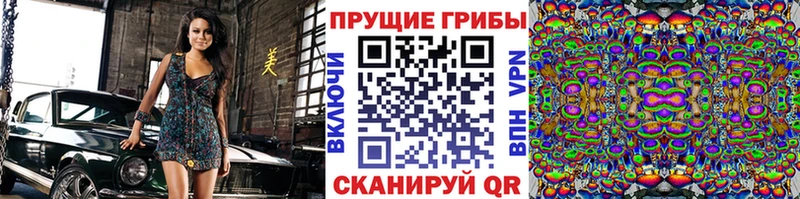 Галлюциногенные грибы Psilocybine cubensis  hydra онион  Димитровград 